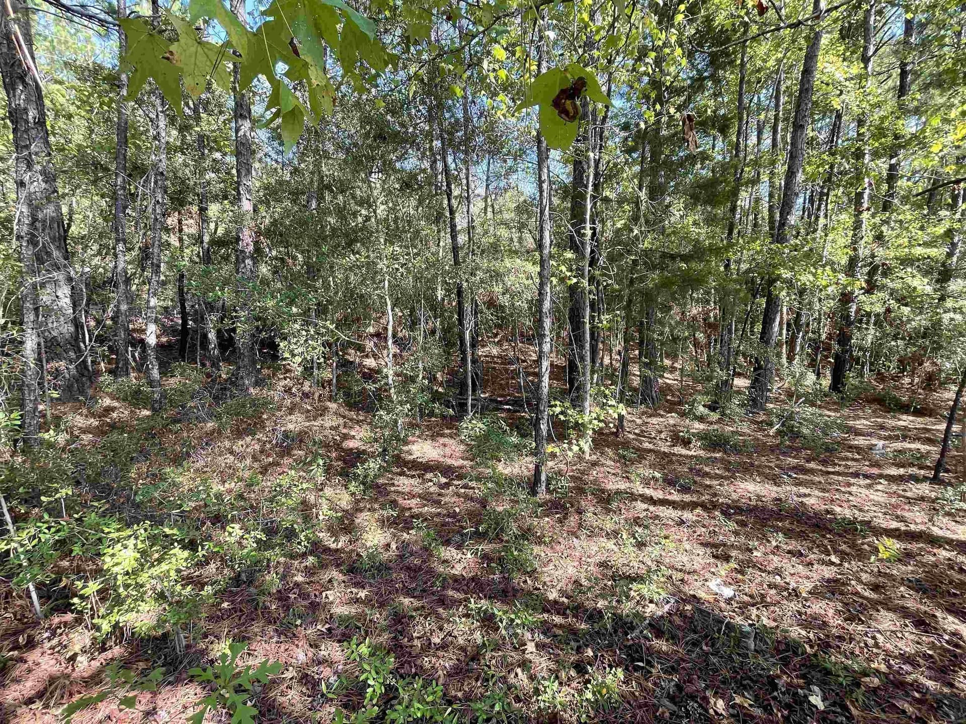2.9 acres in Texas County featured view