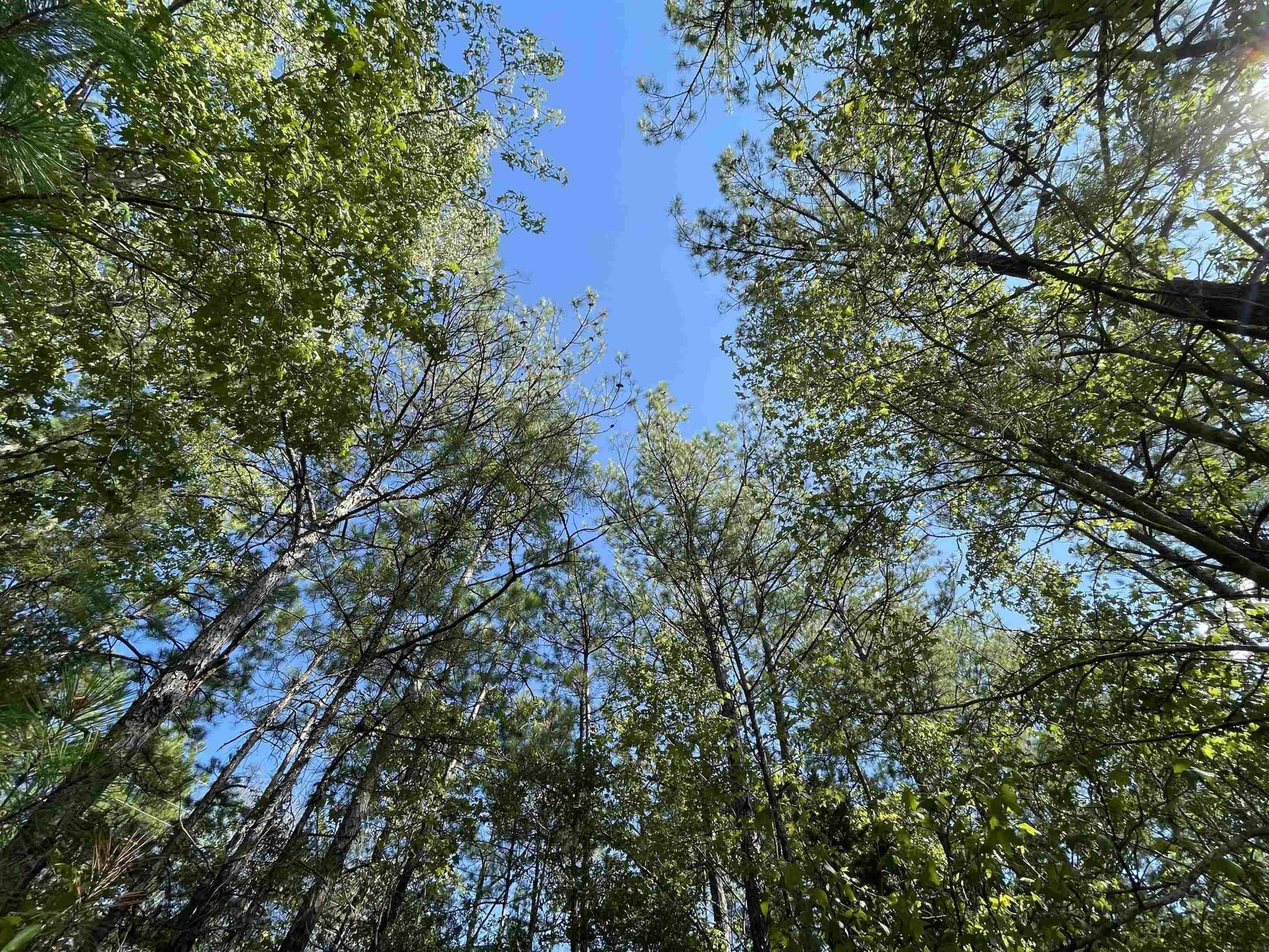 2.9 acres in Texas County