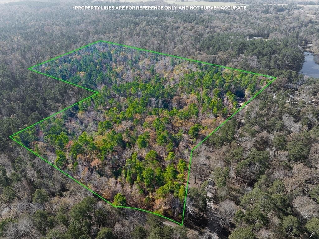 85.86 acres in ANDERSON County gallery image 2