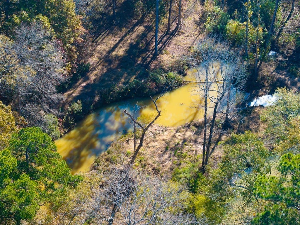 85.86 acres in ANDERSON County gallery image 4