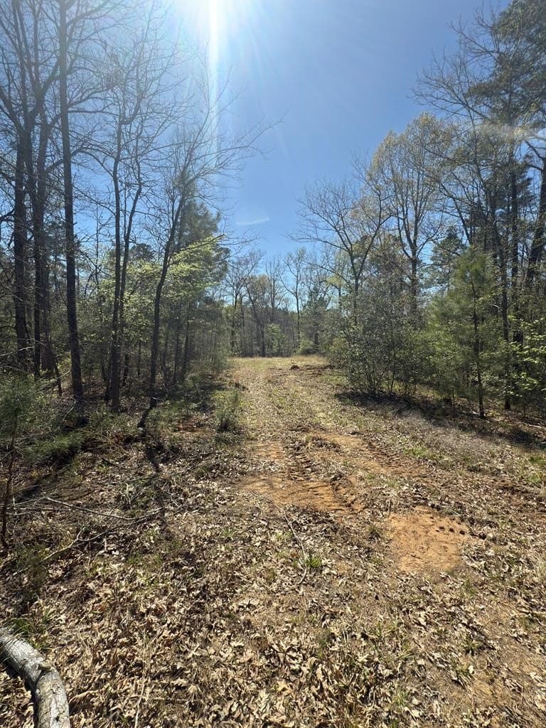 85.86 acres in ANDERSON County featured view