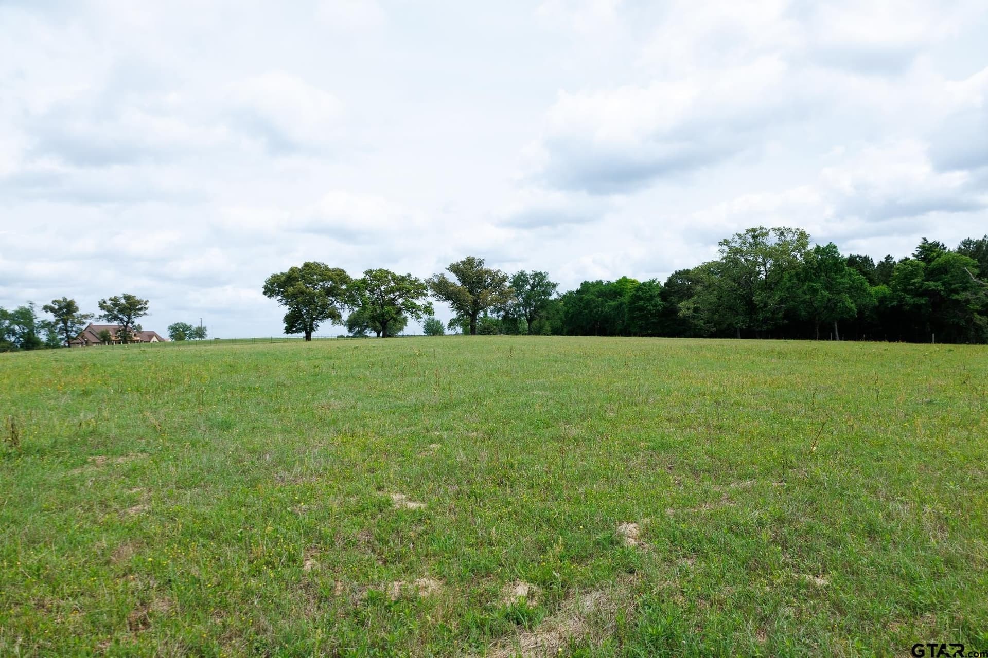 41.5 acres in Anderson County - photo 10
