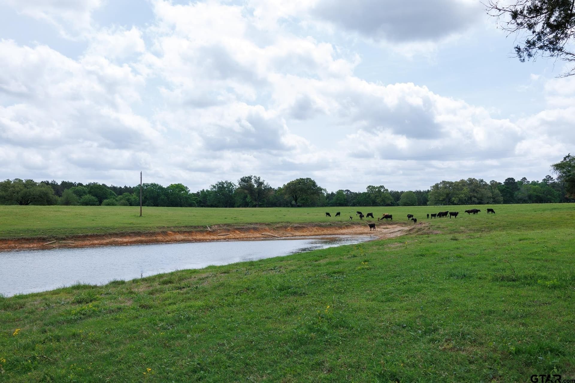41.5 acres in Anderson County - photo 16
