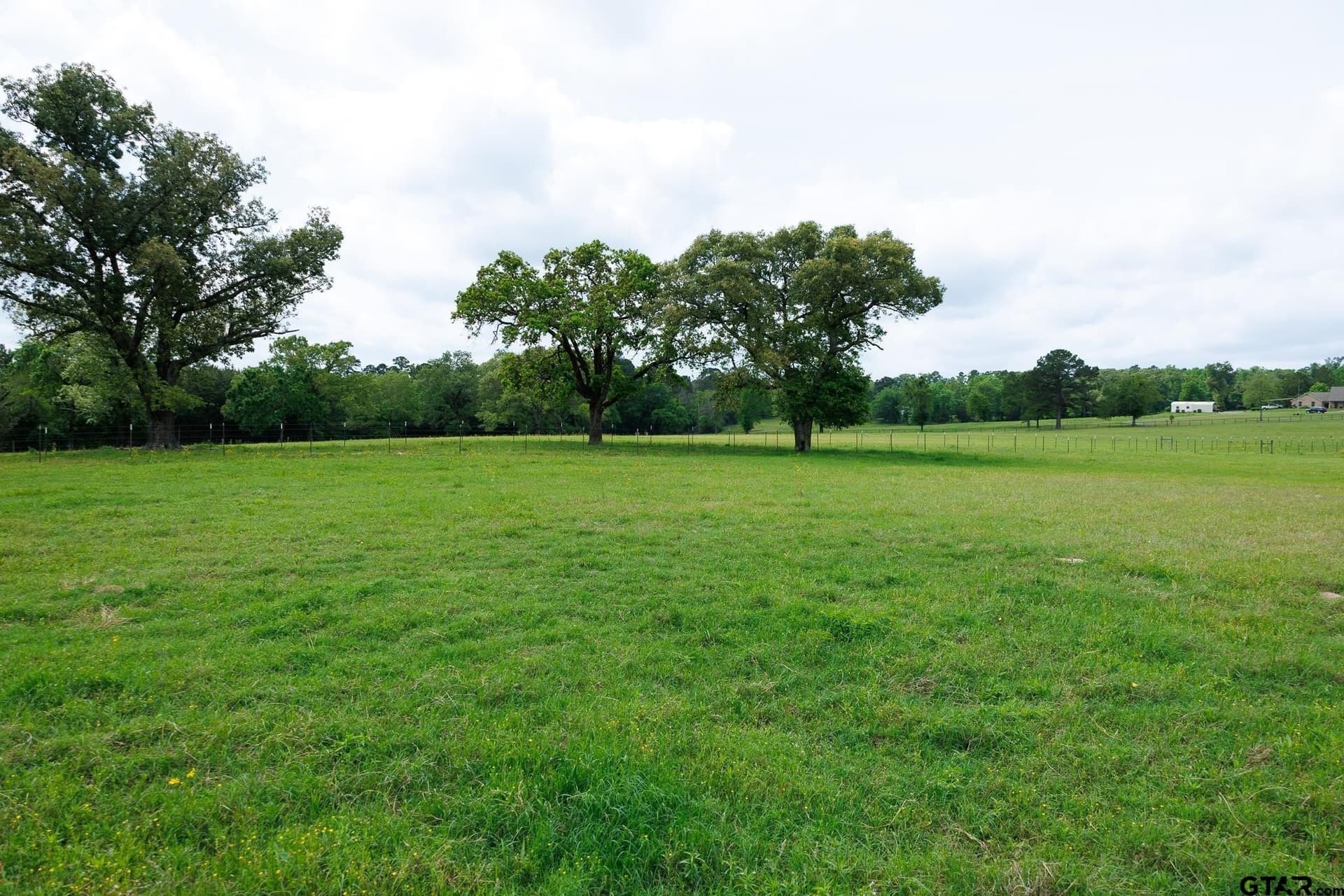 41.5 acres in Anderson County - photo 13