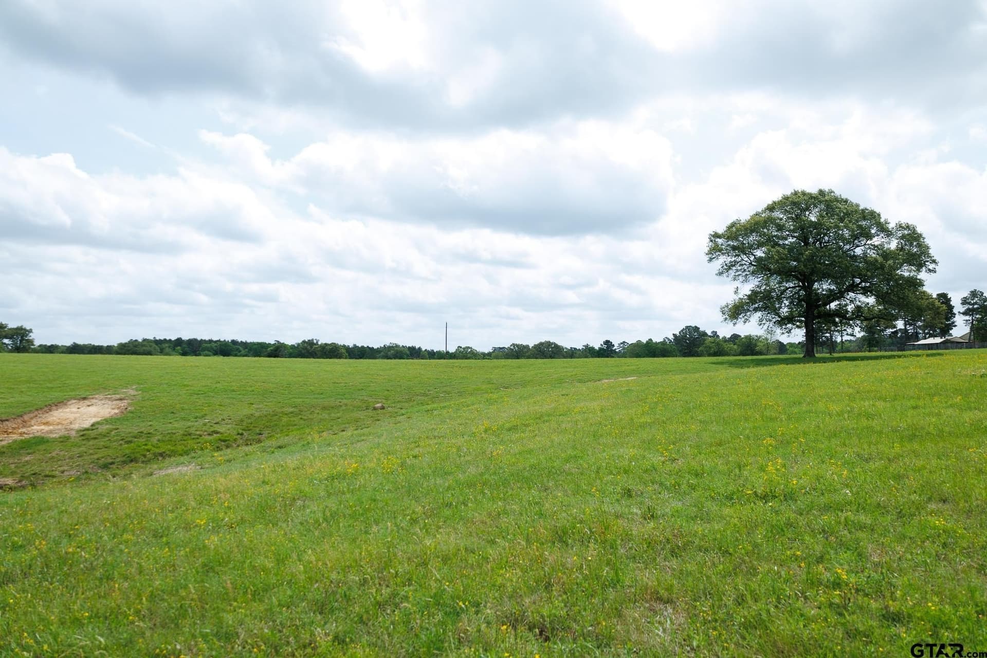 41.5 acres in Anderson County - photo 6