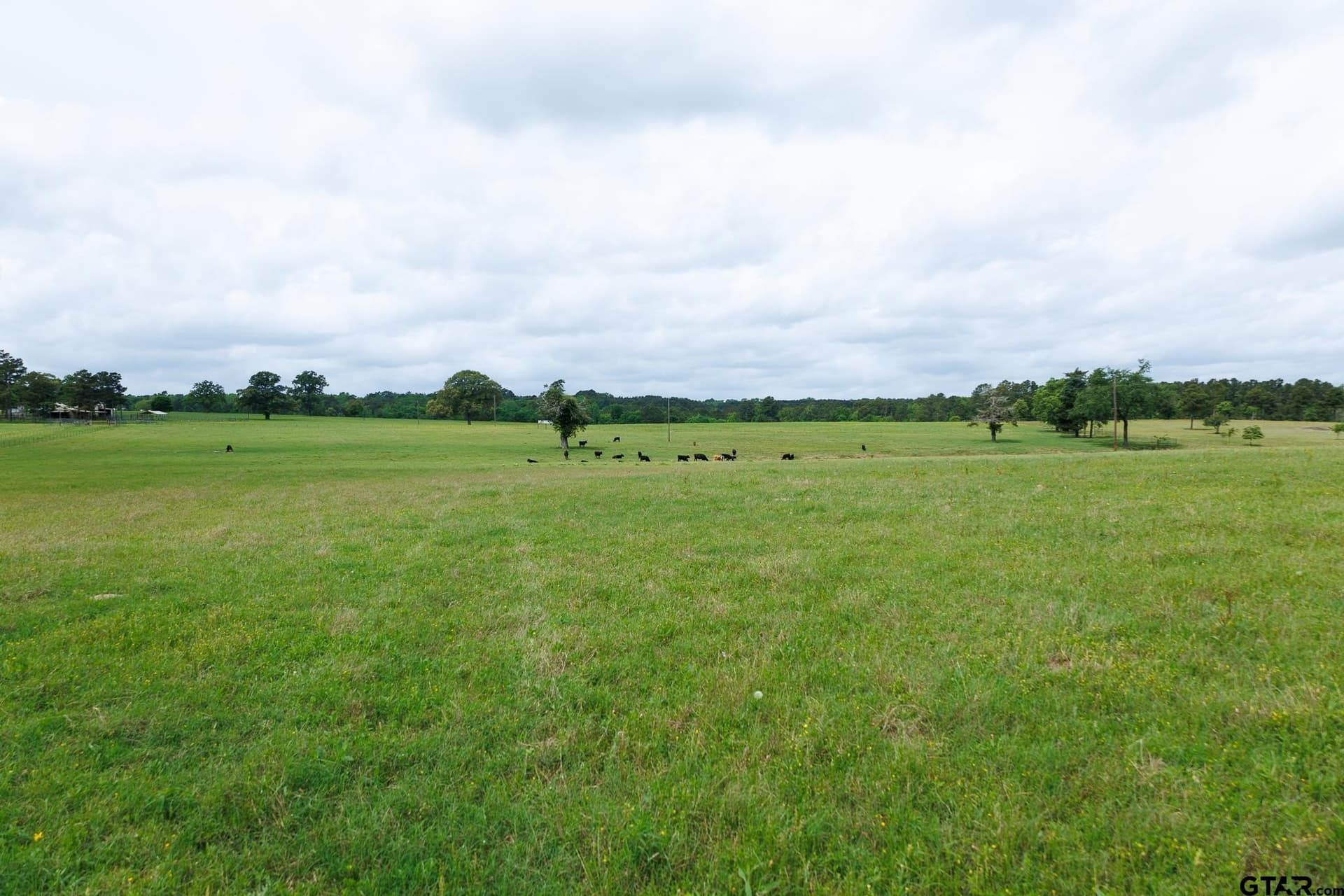 41.5 acres in Anderson County - photo 12