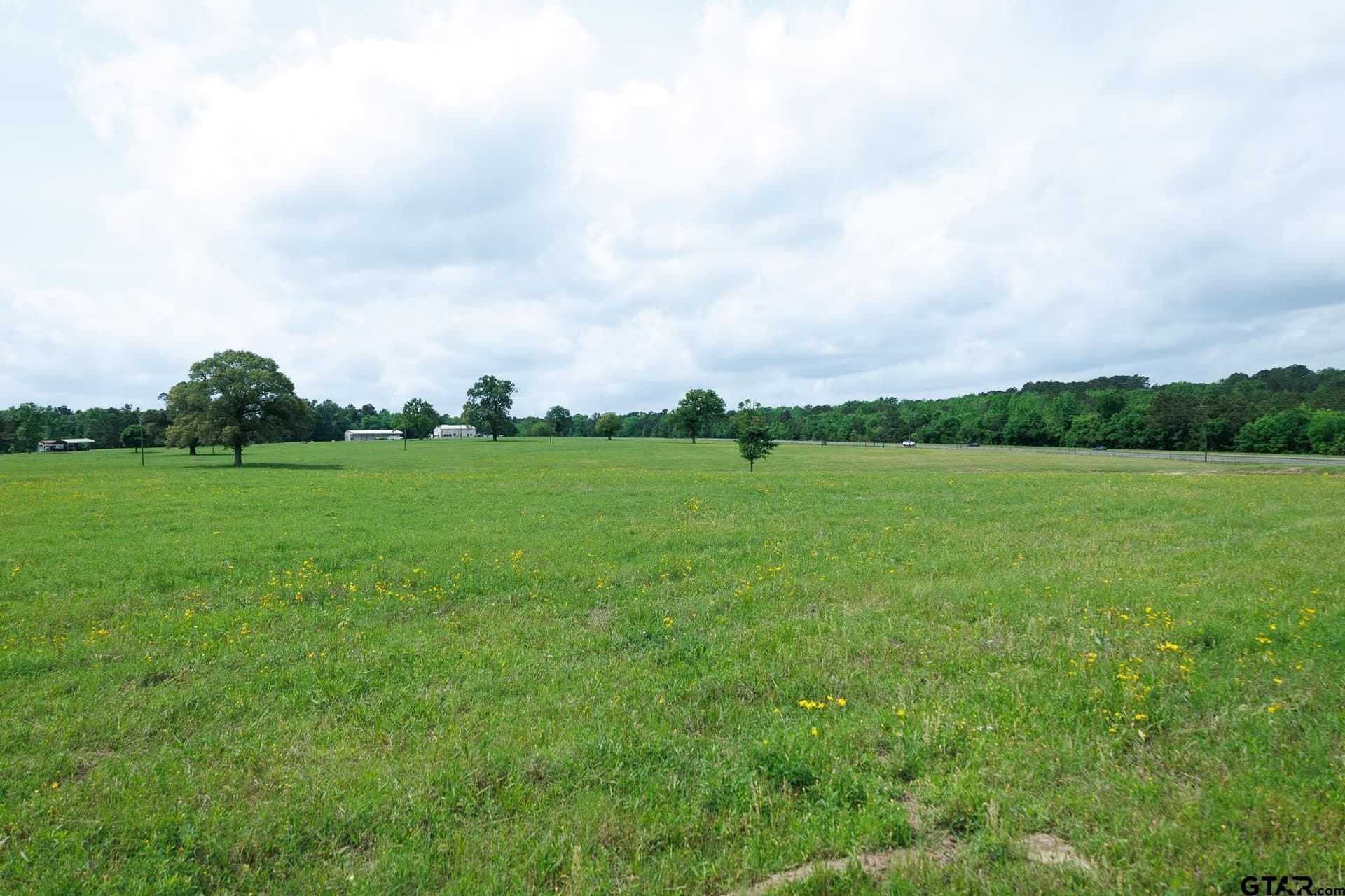 41.5 acres in Anderson County - photo 17