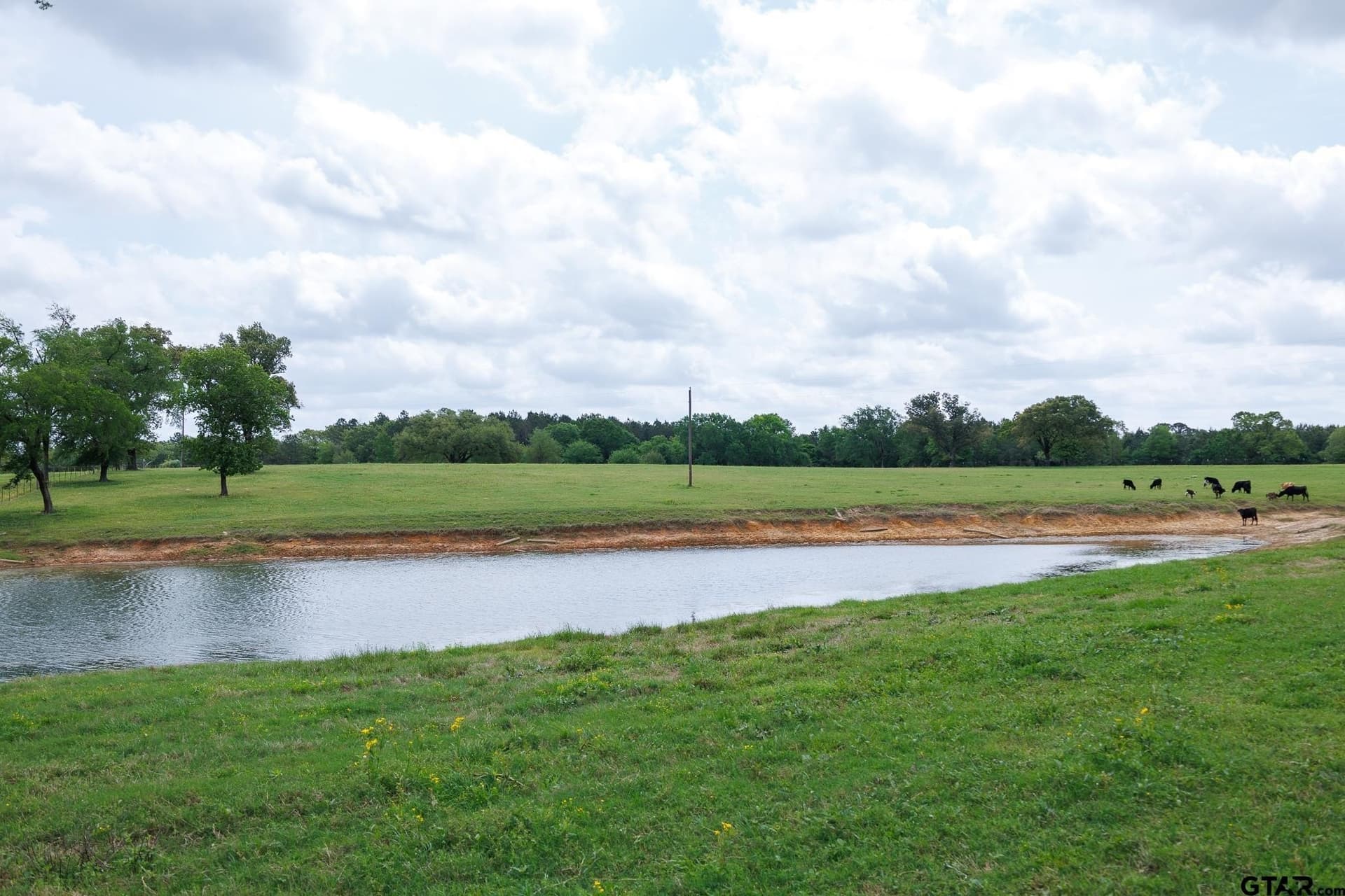 41.5 acres in Anderson County - photo 15