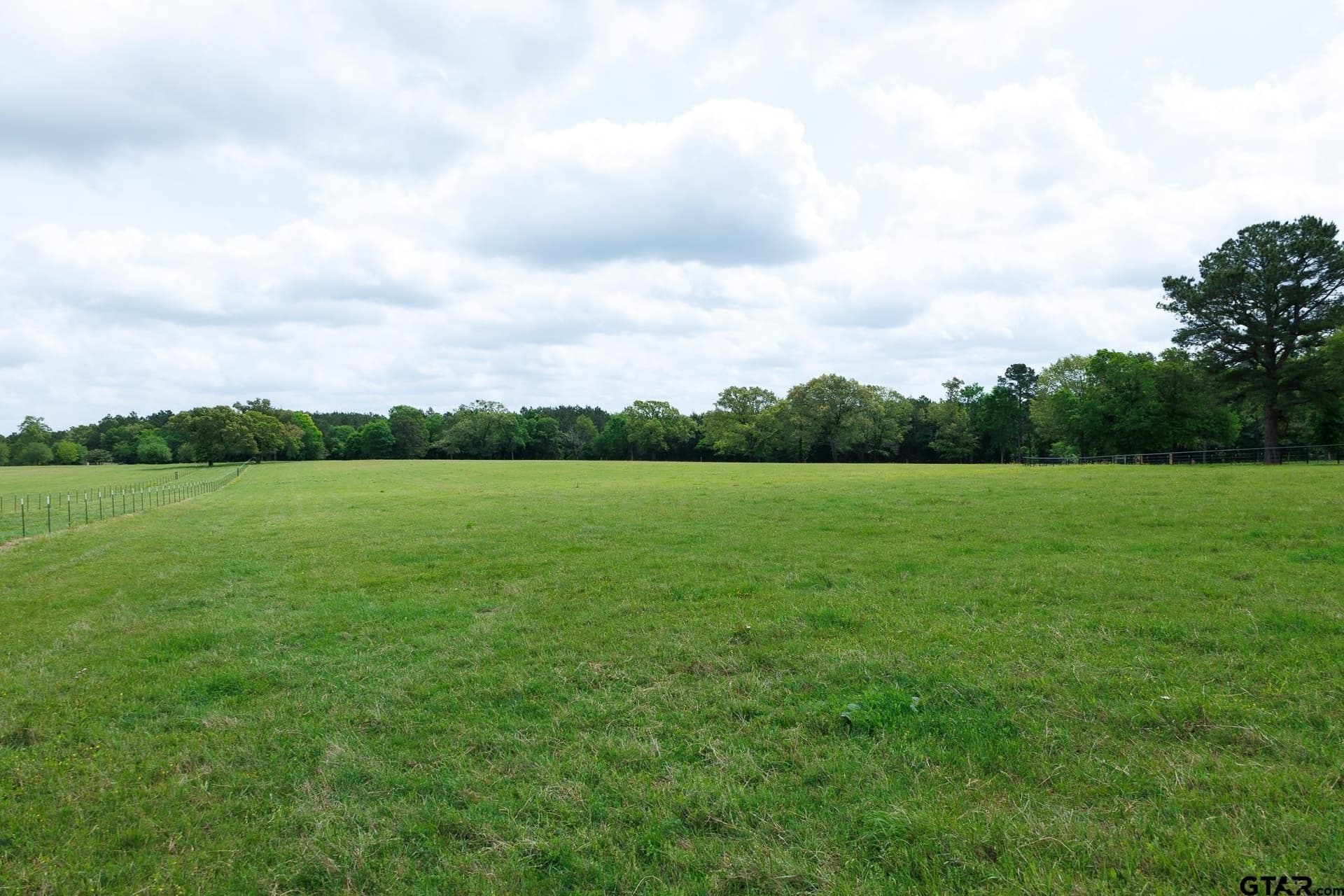 41.5 acres in Anderson County - photo 9