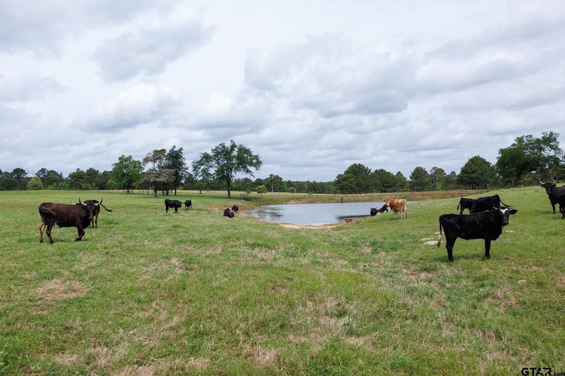 41.5 acres in Anderson County - photo 14