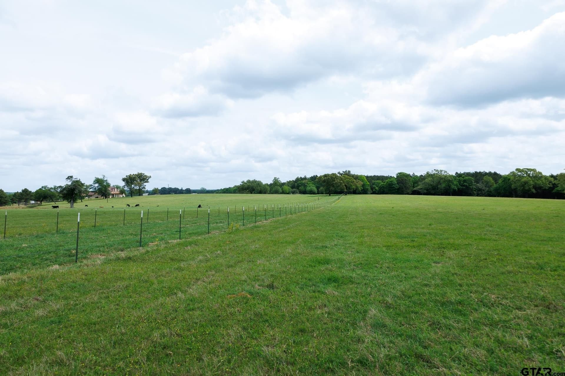 41.5 acres in Anderson County - photo 8