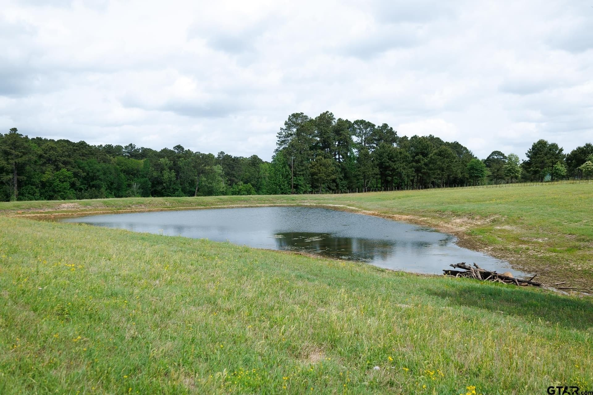 41.5 acres in Anderson County - photo 7