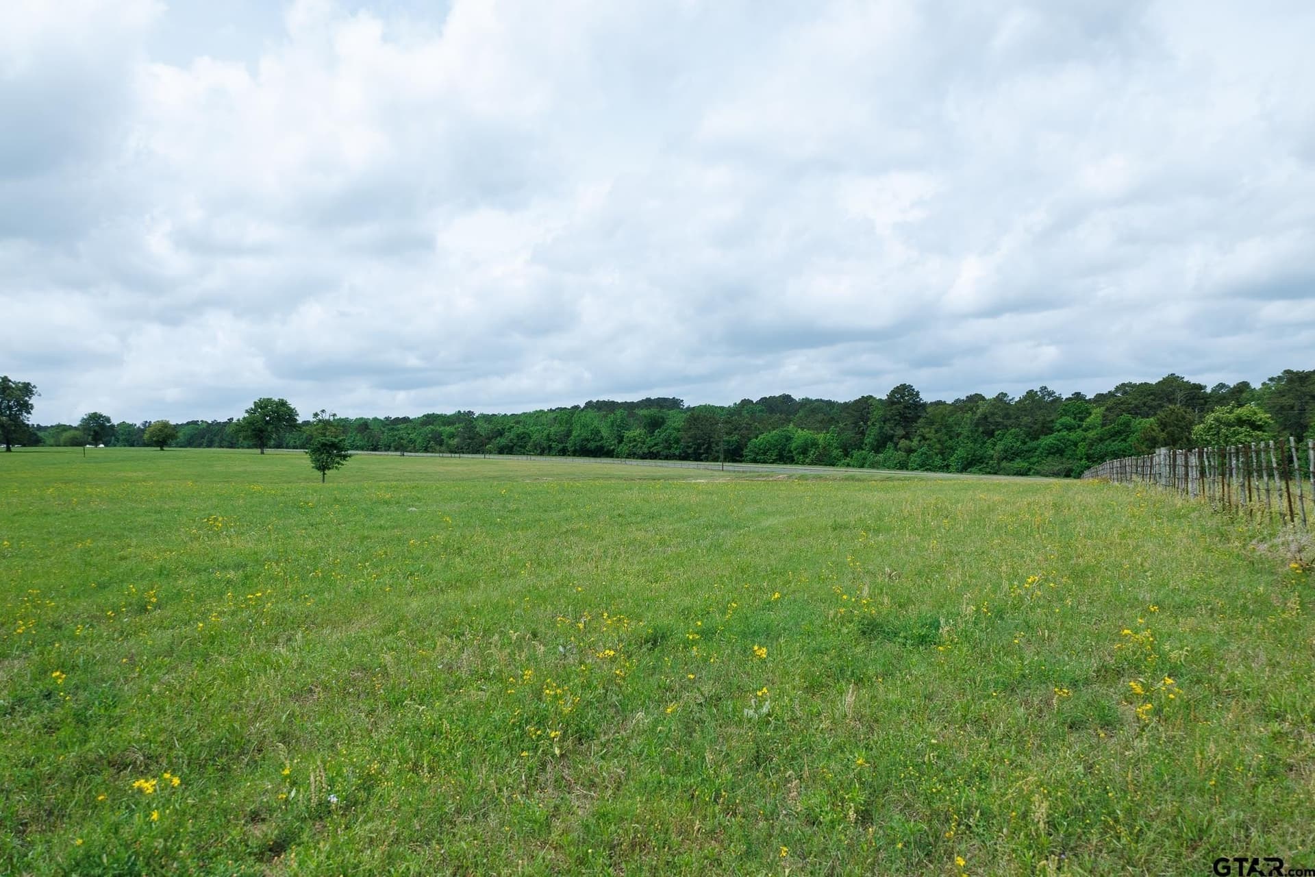 41.5 acres in Anderson County - photo 18