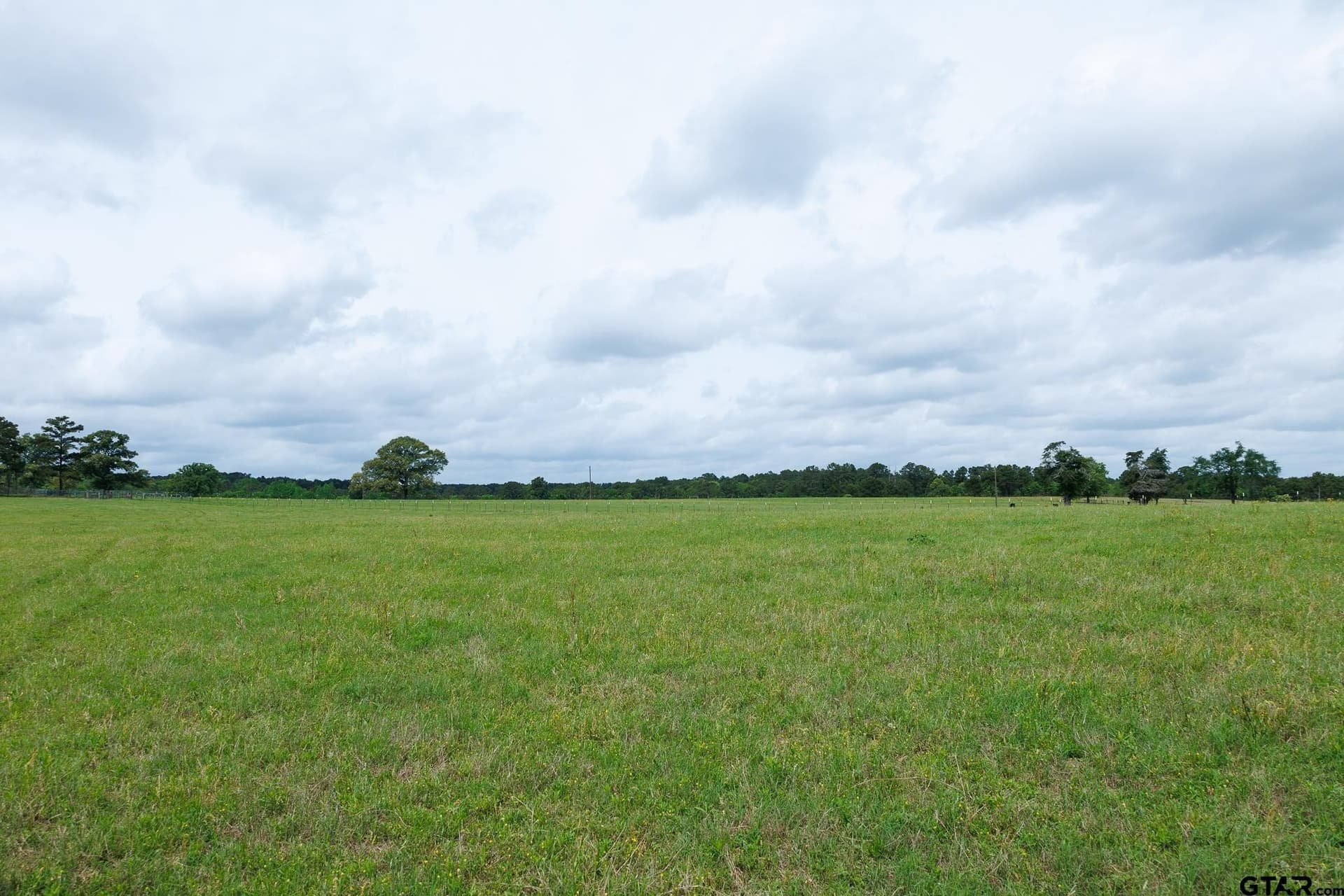 41.5 acres in Anderson County - photo 11