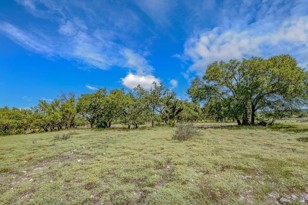 10.3 acres in Gillespie County - photo 6