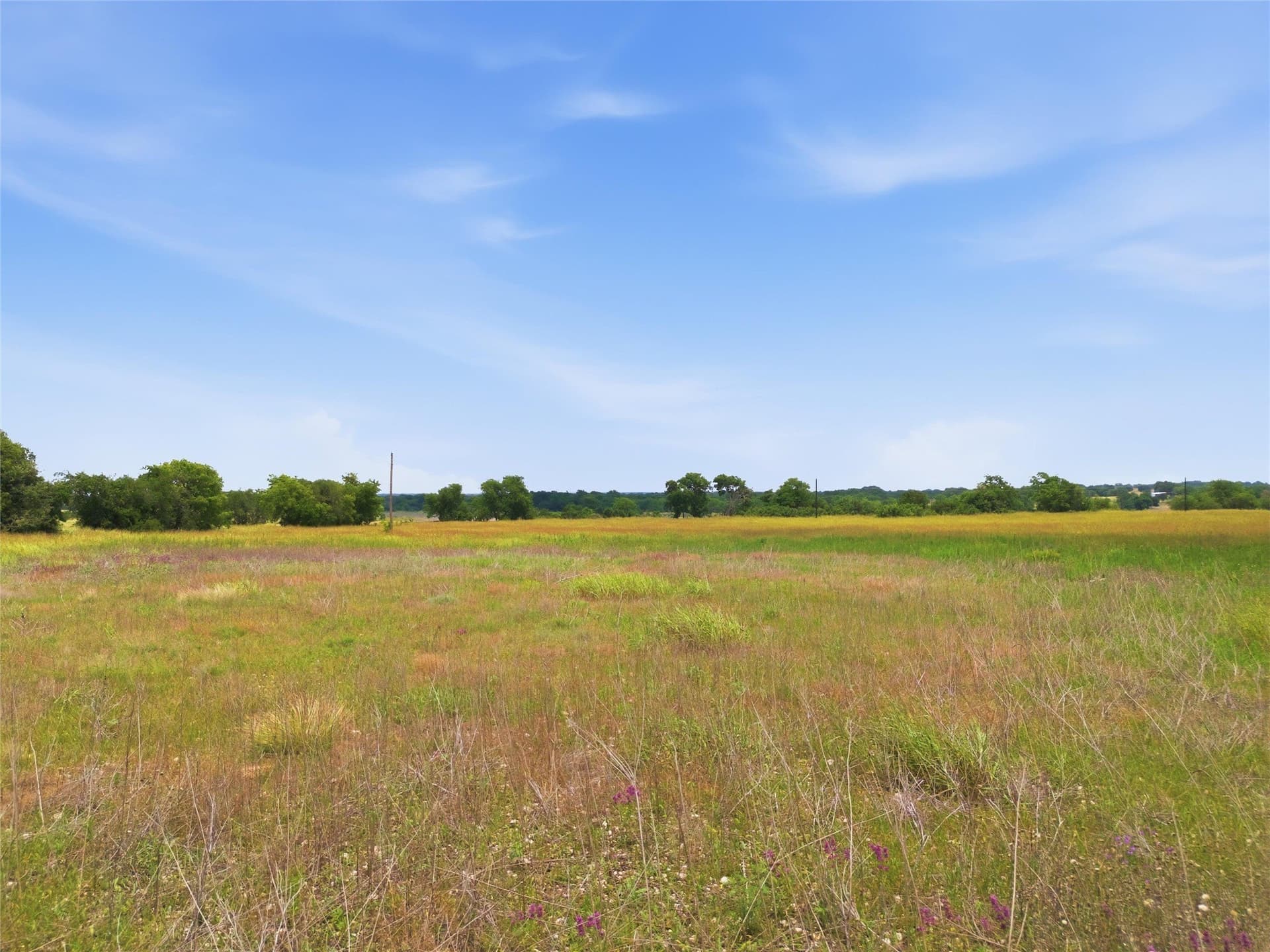 12.67 acres in Coryell County gallery image 3