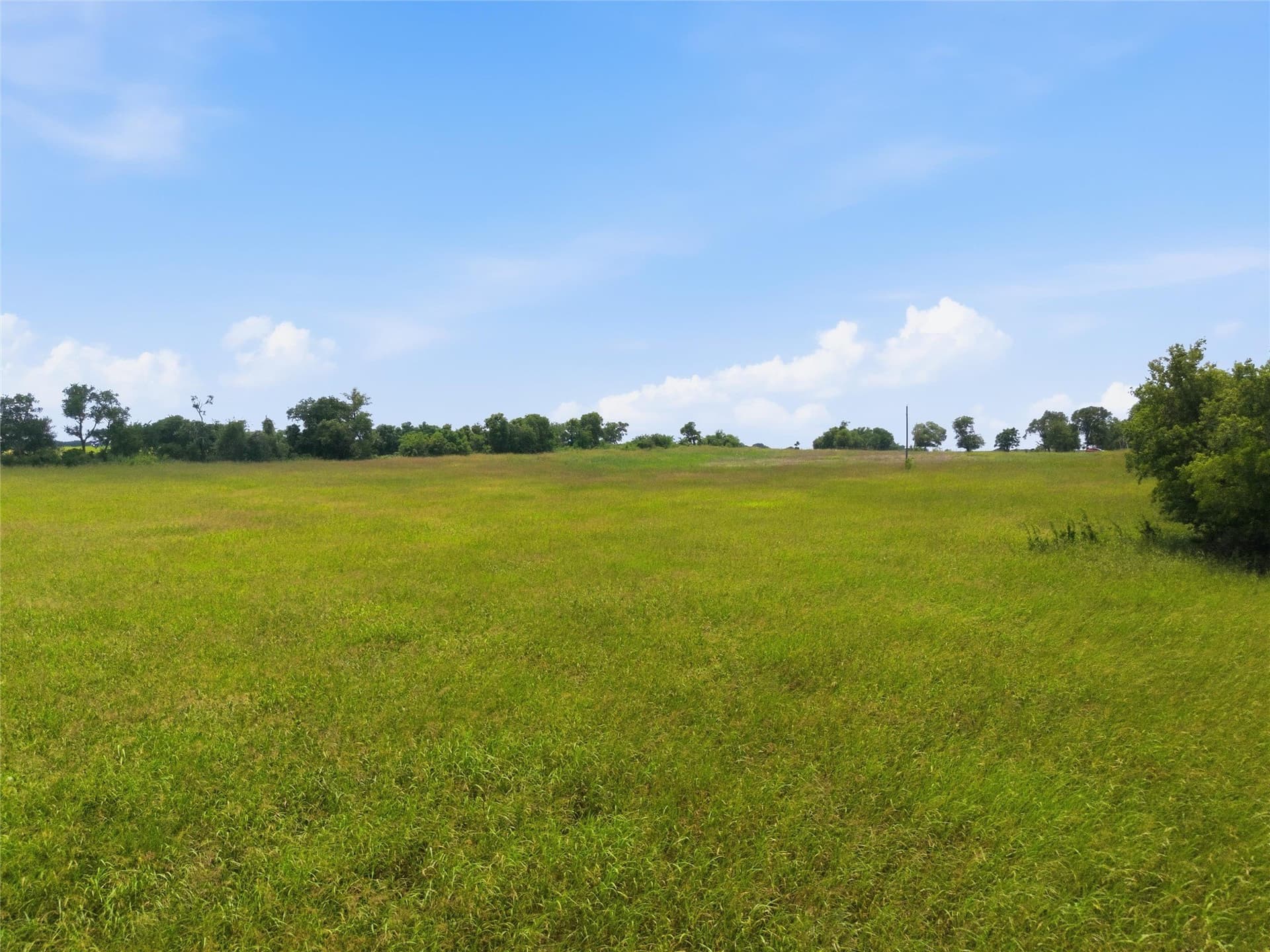 12.67 acres in Coryell County gallery image 4