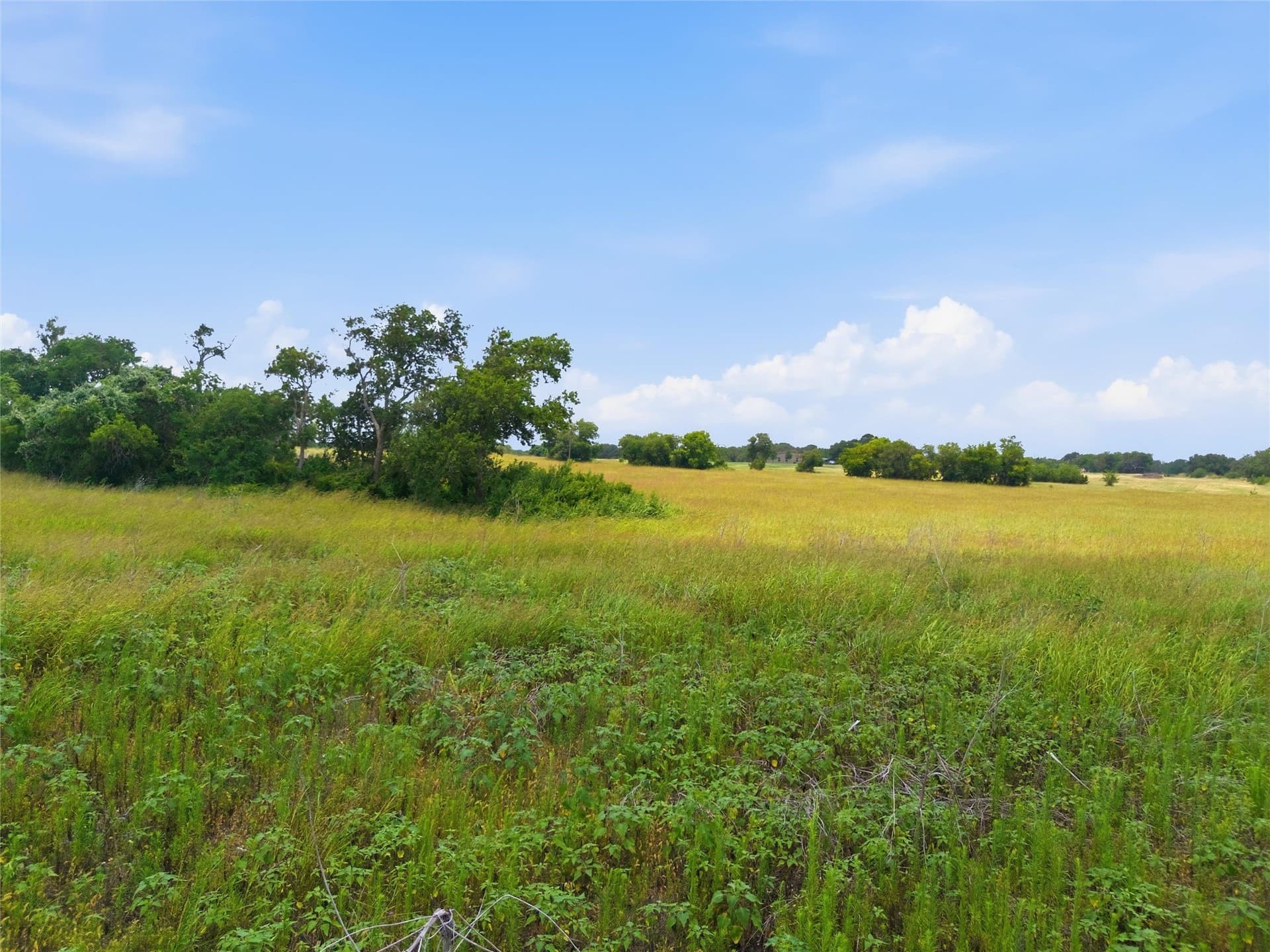 12.67 acres in Coryell County - photo 6