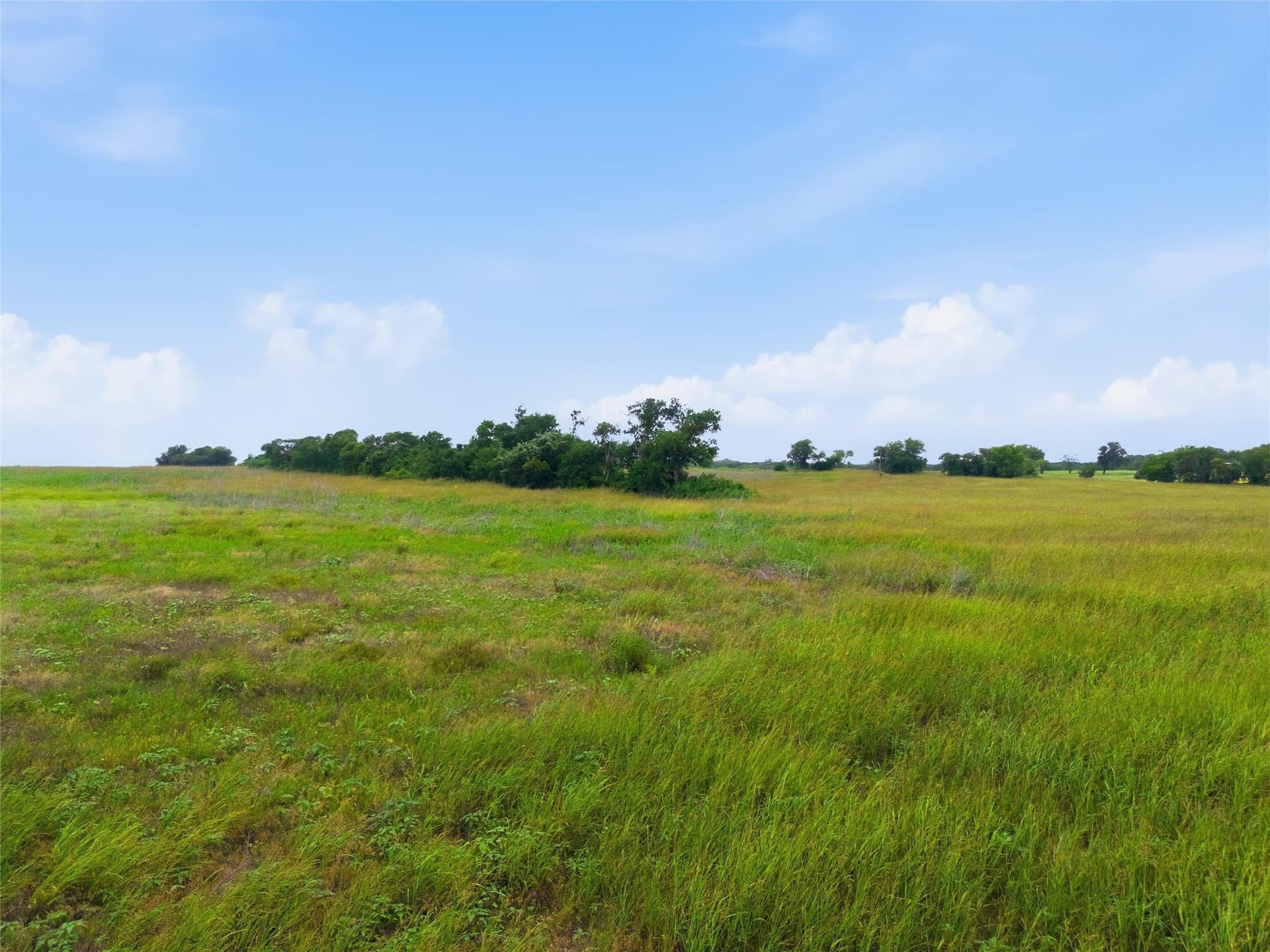 12.67 acres in Coryell County - photo 7