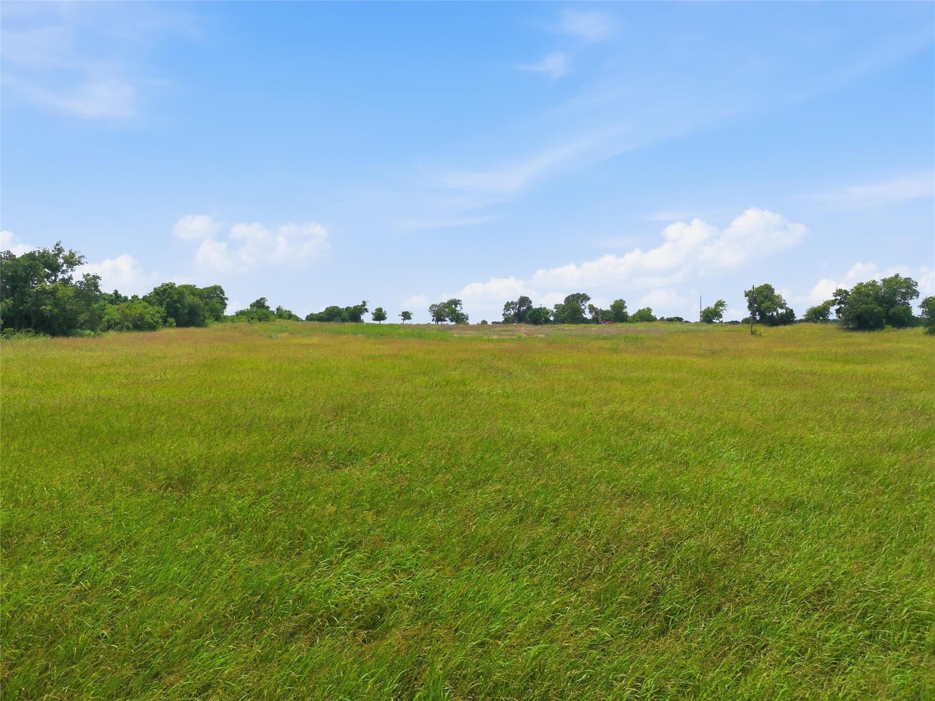 12.67 acres in Coryell County featured view