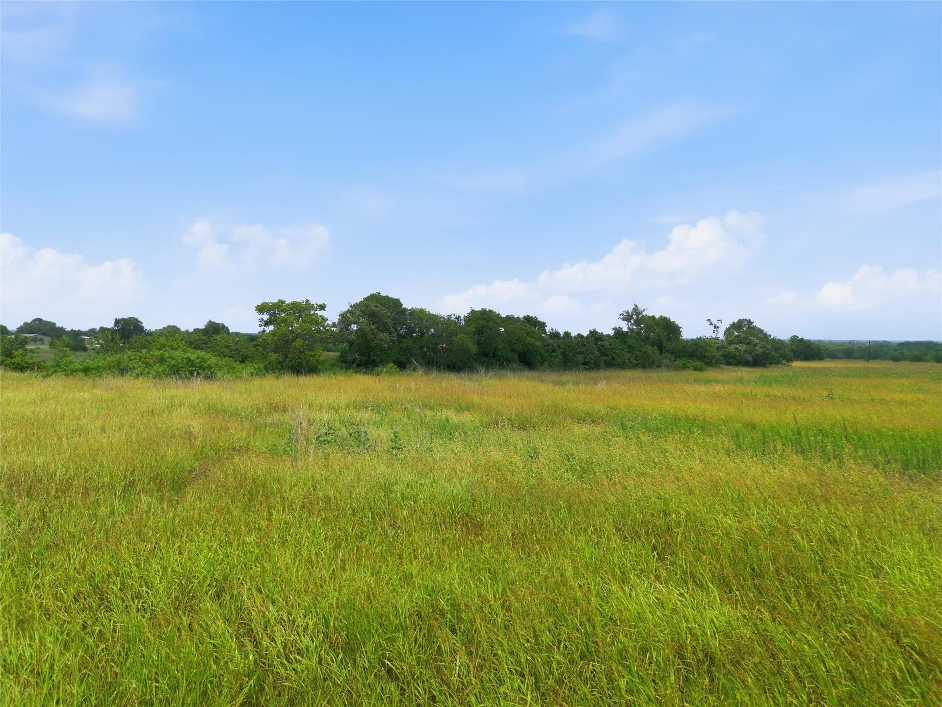 12.67 acres in Coryell County - photo 8