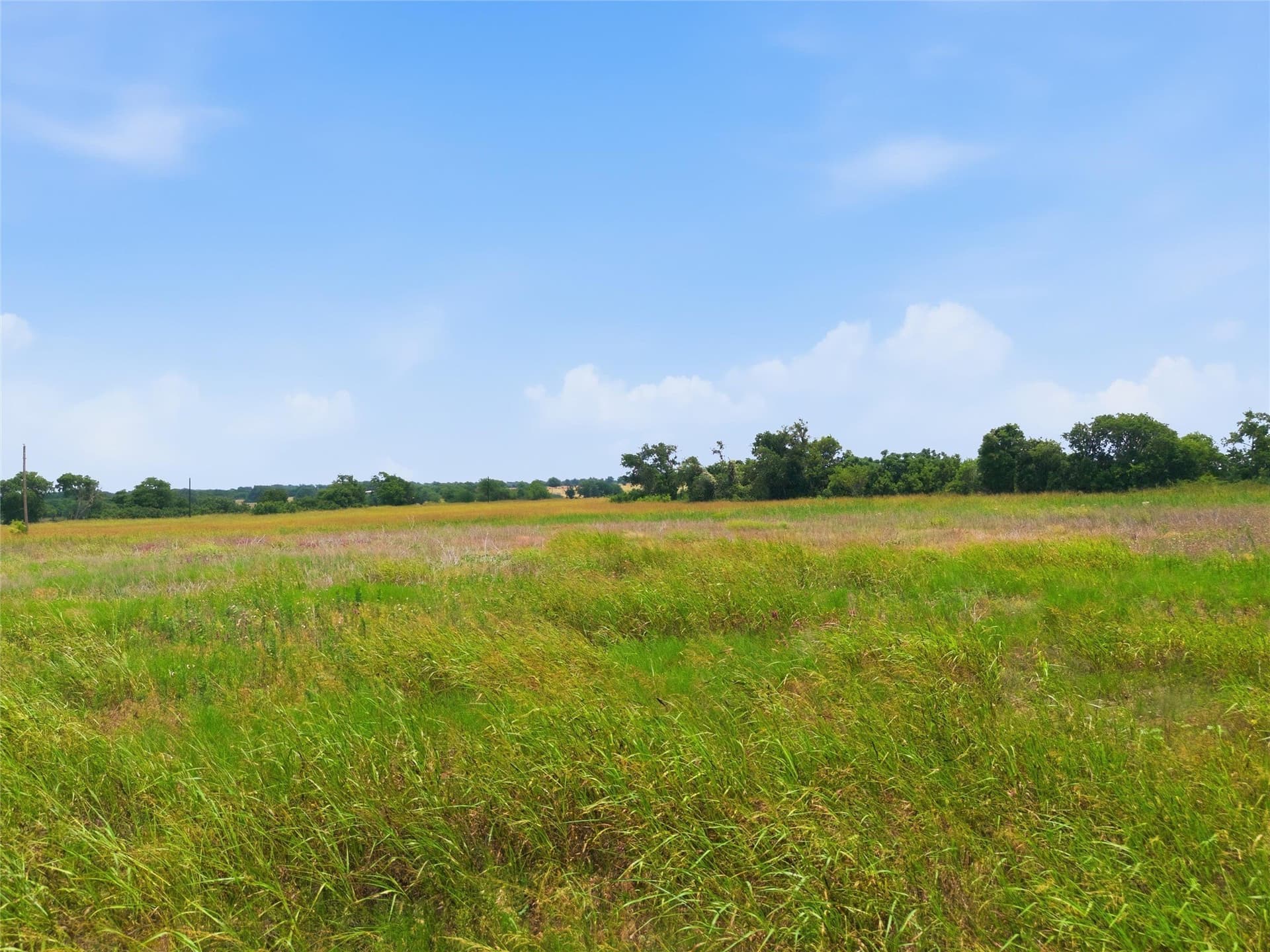 12.67 acres in Coryell County gallery image 2