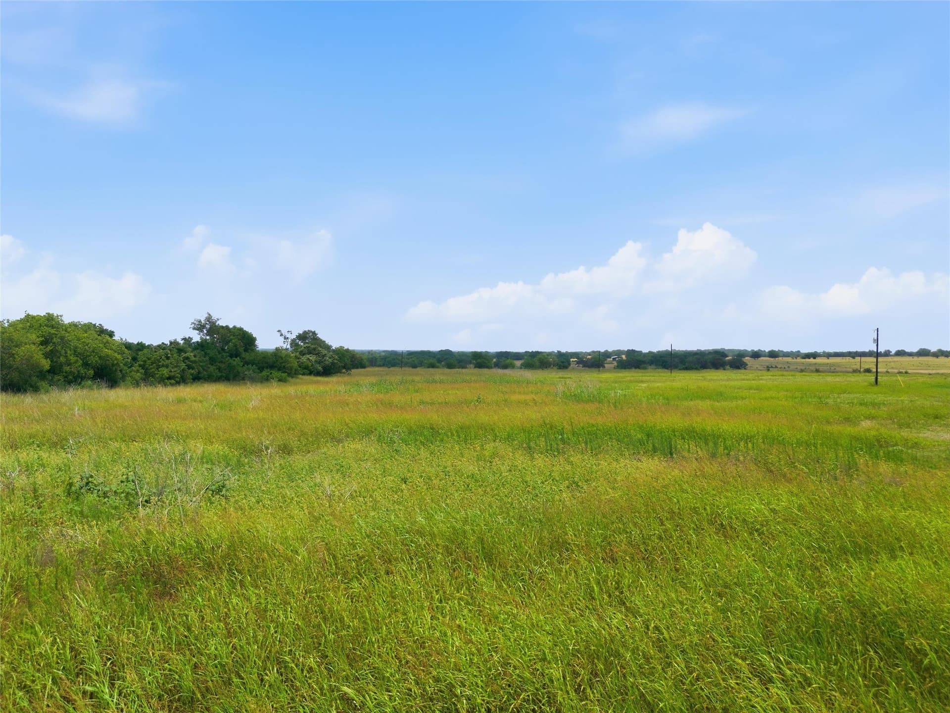 12.67 acres in Coryell County - photo 9