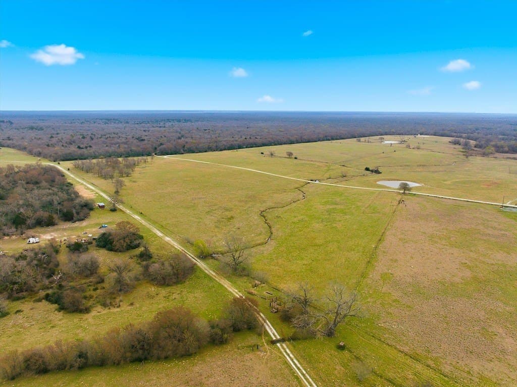 21.84 acres in Limestone County - photo 12