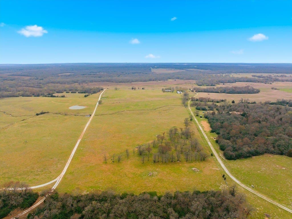 21.84 acres in Limestone County - photo 7