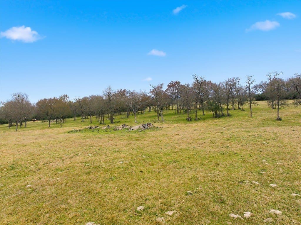 21.84 acres in Limestone County gallery image 3