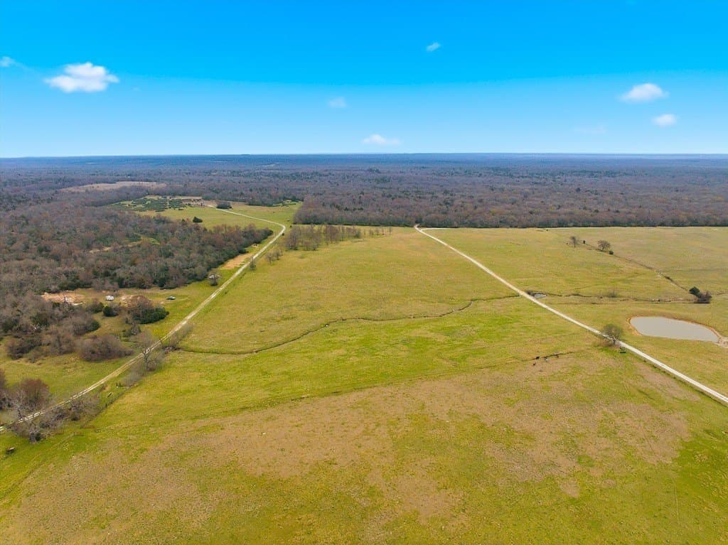 21.84 acres in Limestone County - photo 10