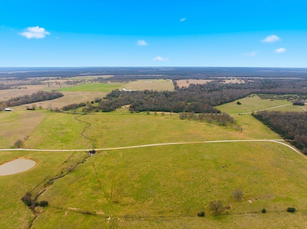 21.84 acres in Limestone County featured view