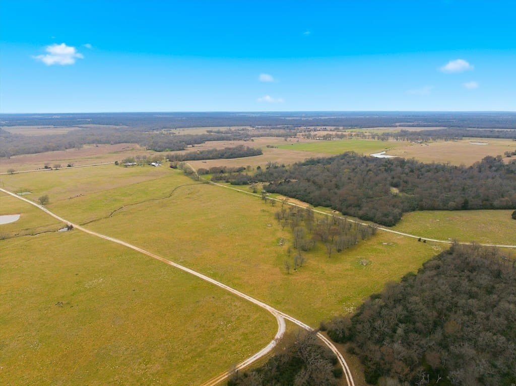 21.84 acres in Limestone County - photo 6