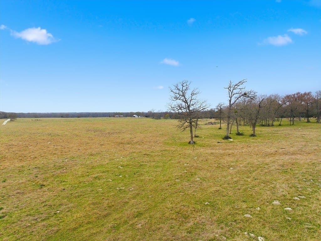 21.84 acres in Limestone County gallery image 4