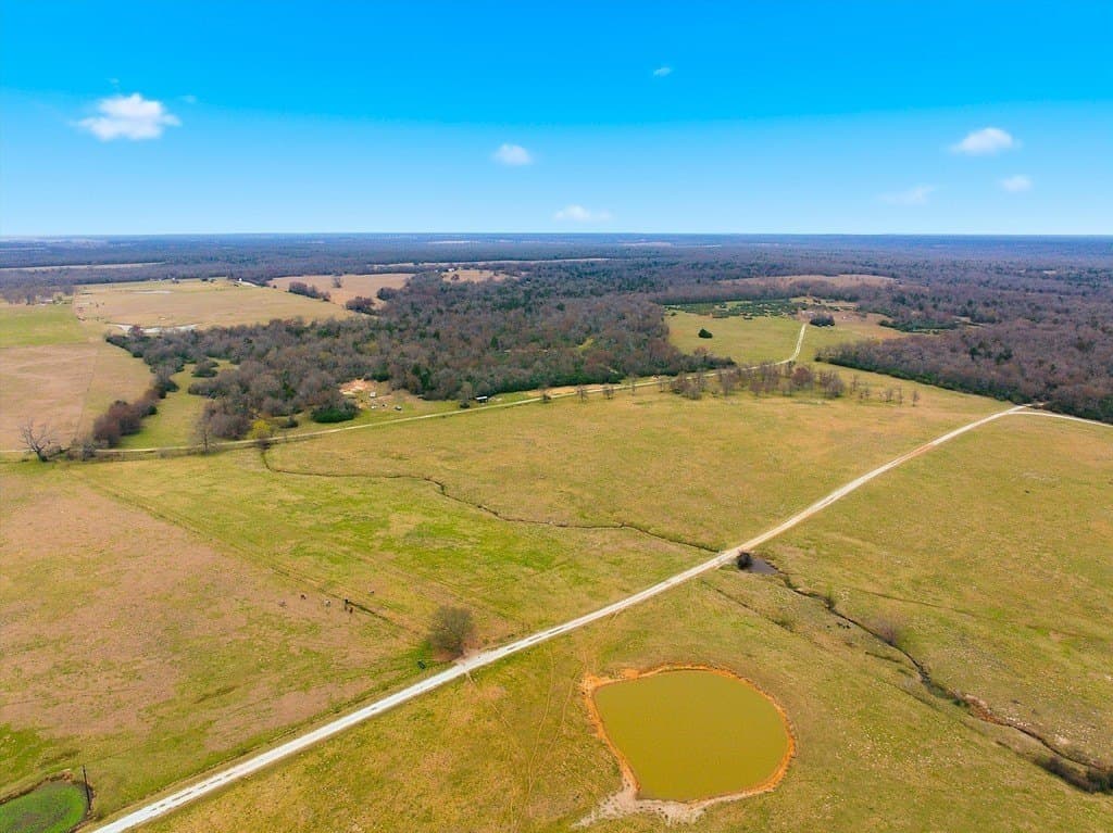 21.84 acres in Limestone County - photo 11