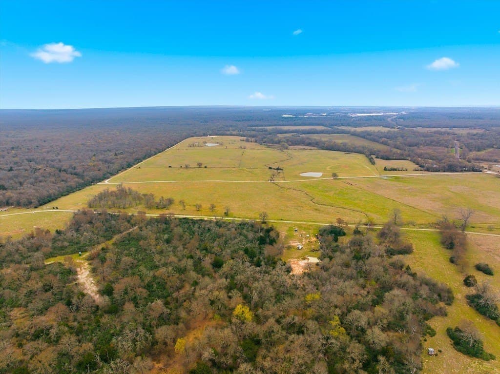 21.84 acres in Limestone County - photo 9