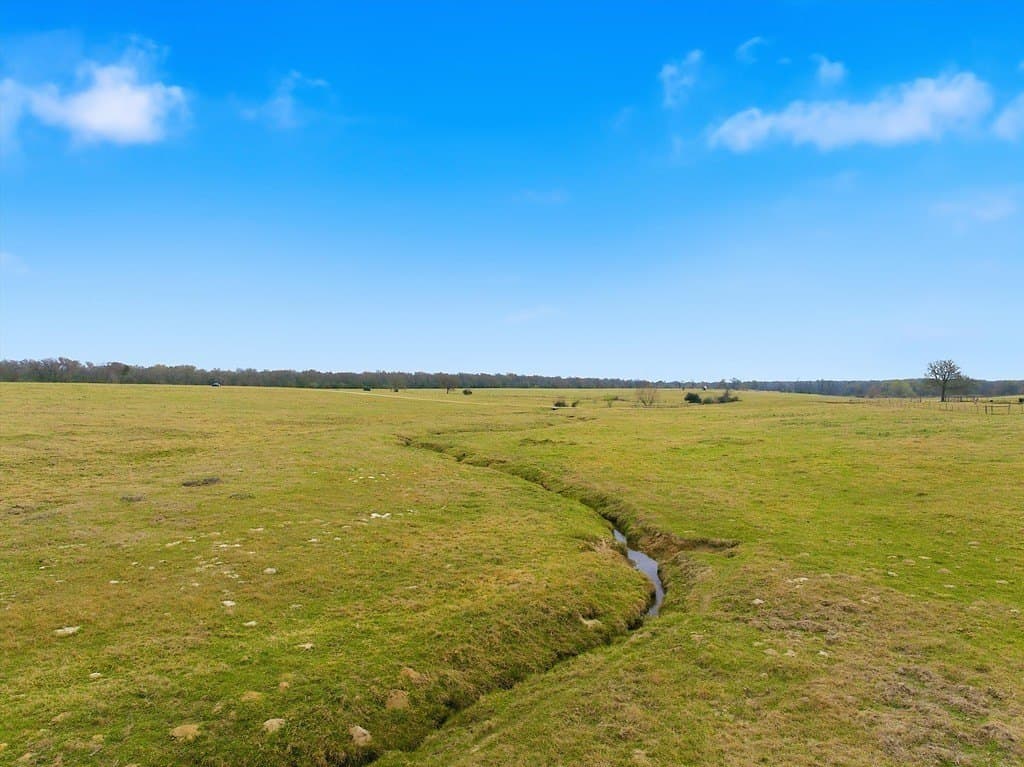 21.84 acres in Limestone County gallery image 2