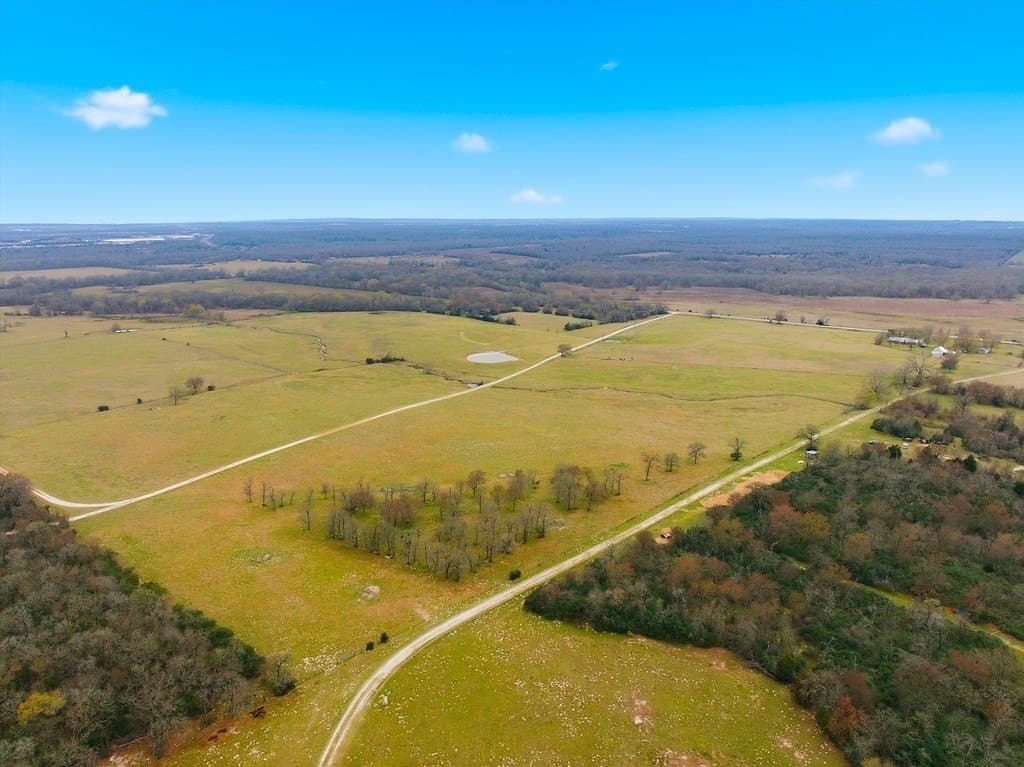 21.84 acres in Limestone County - photo 8