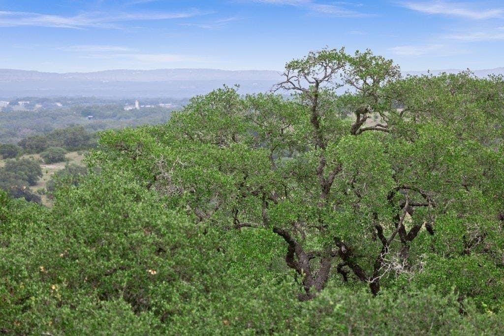 5 acres in Blanco County - photo 11