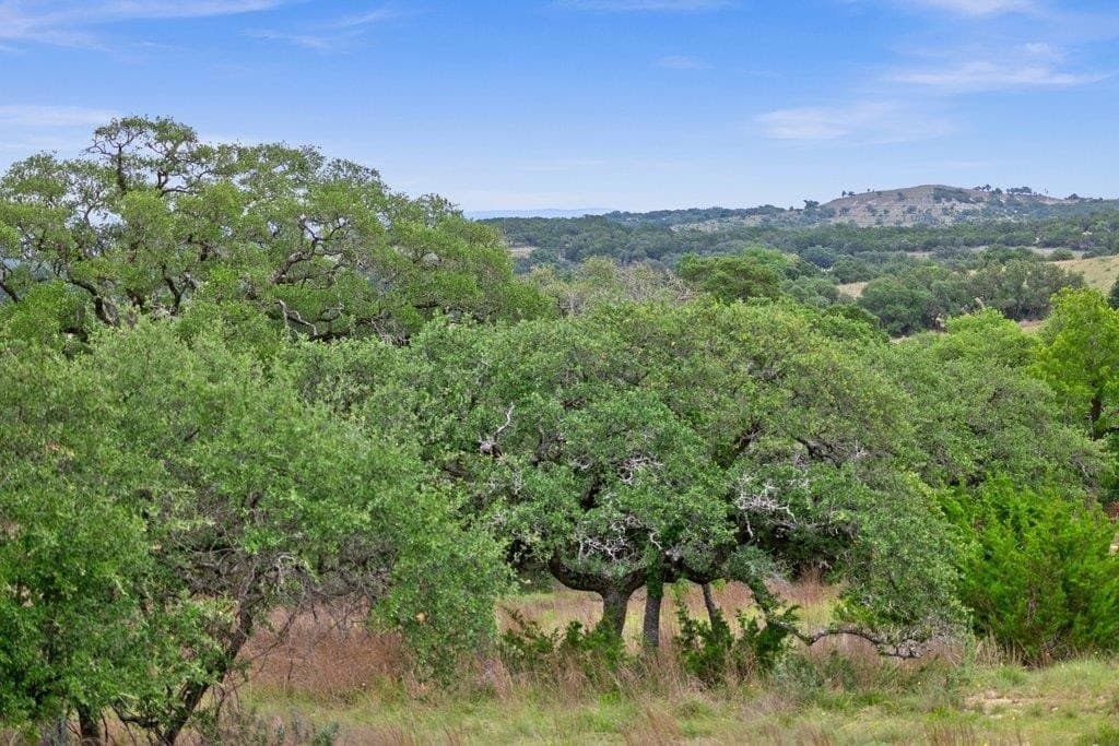 5 acres in Blanco County - photo 6