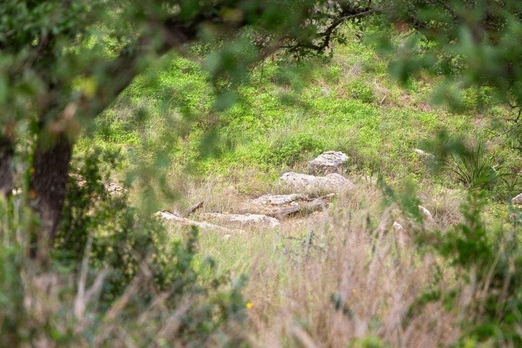 5 acres in Blanco County - photo 7