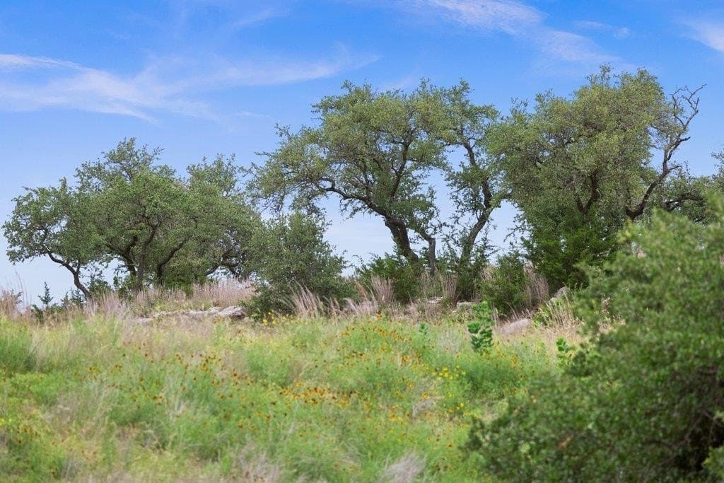 5 acres in Blanco County gallery image 3