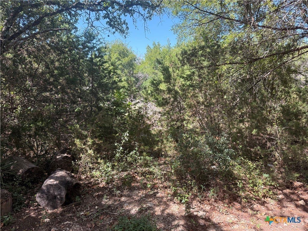 0.26 acres in Bell County - photo 2