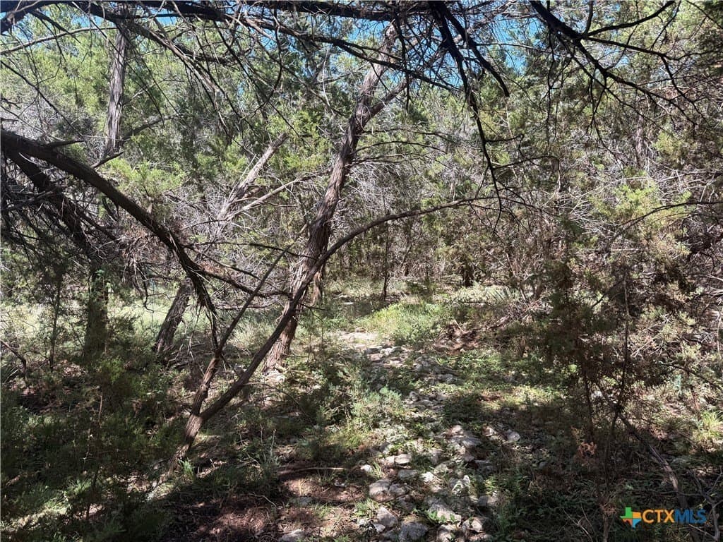 0.26 acres in Bell County - photo 3