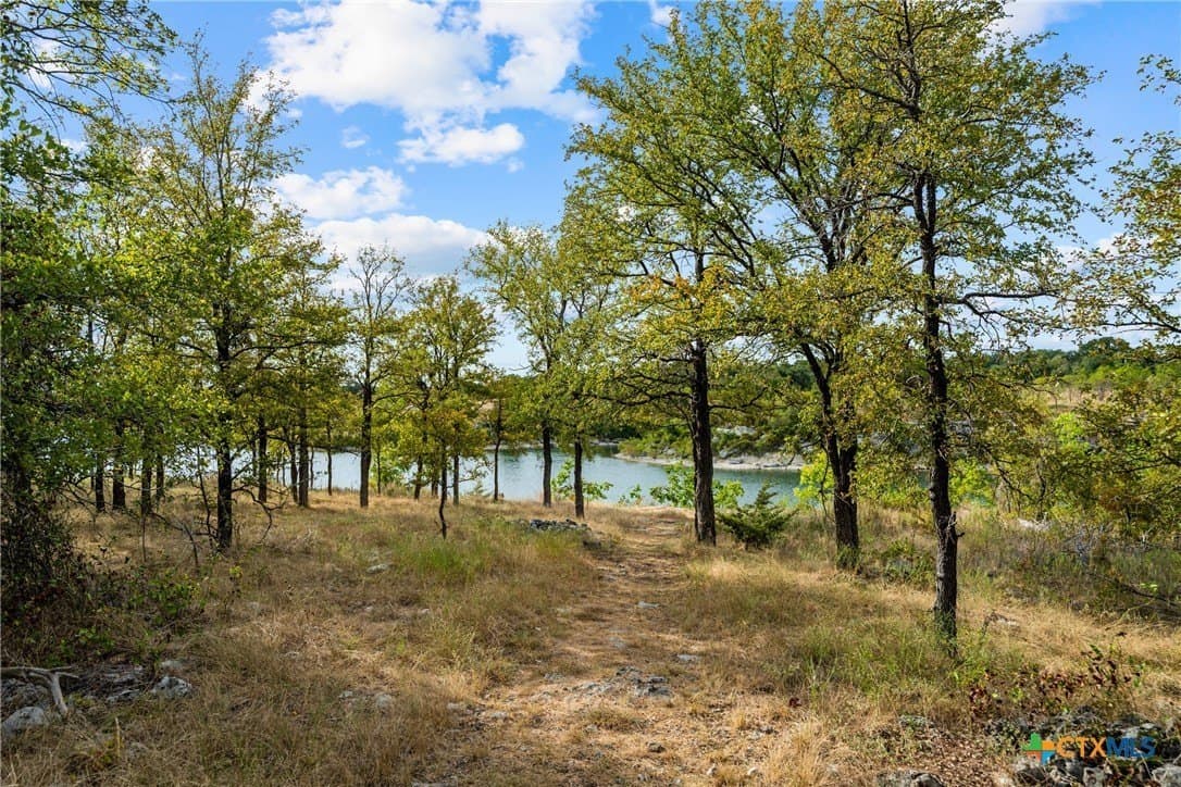 0.26 acres in Bell County - photo 4