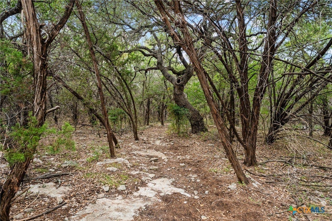 0.26 acres in Bell County - photo 9