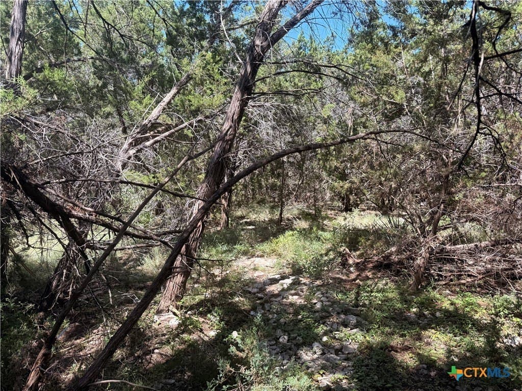 0.26 acres in Bell County - photo 4