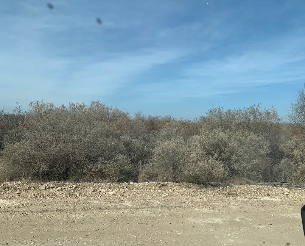 20.3 acres in Maverick County - photo 7