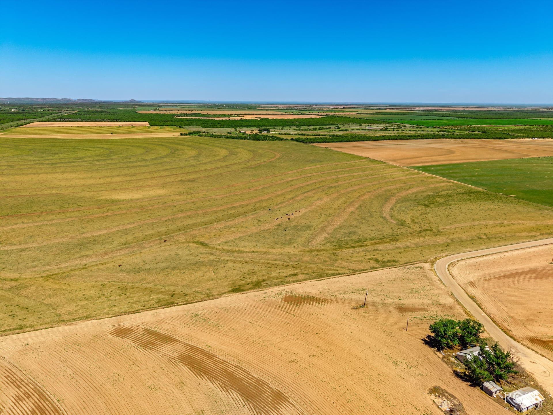 20 acres in Tom Green County gallery image 3