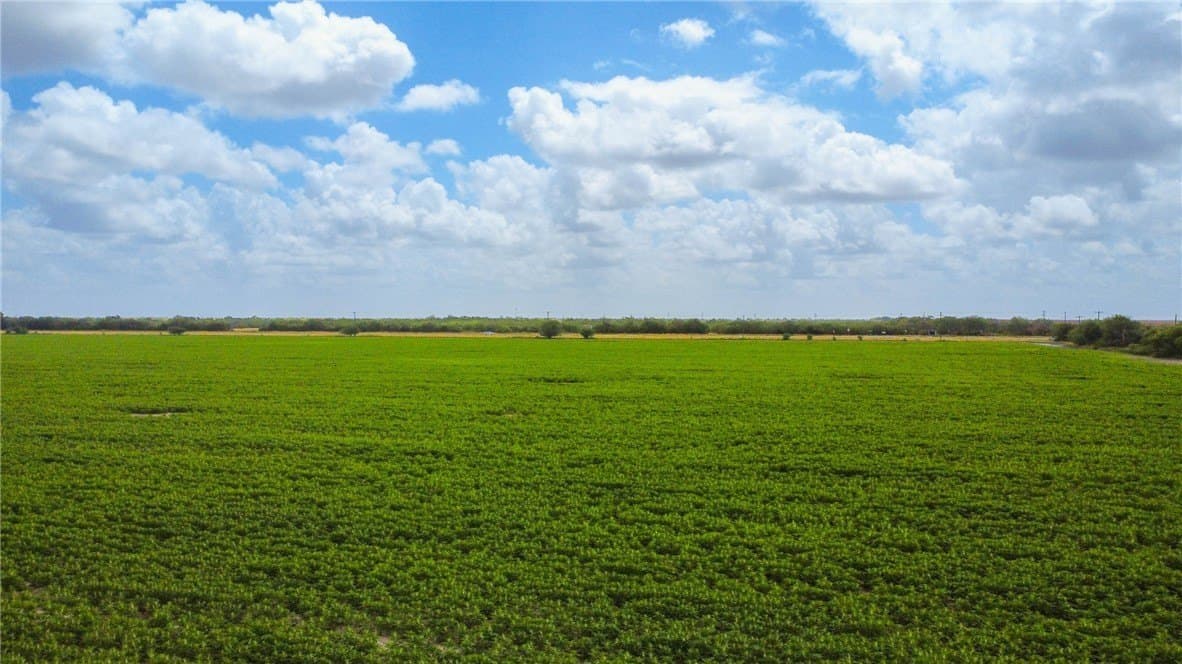 60 acres in Jim Wells County